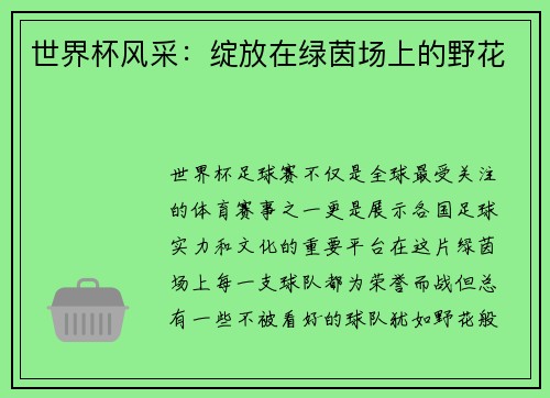 世界杯风采:绽放在绿茵场上的野花 世界杯风采:绽放在绿茵场上的野花